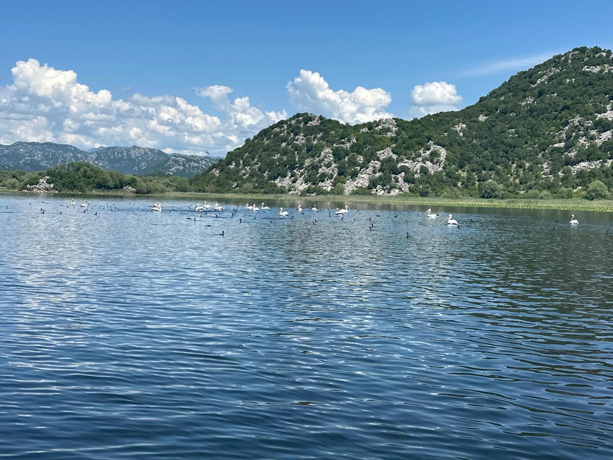Apartment Konoba Ulicevic Vranjina Dış mekan fotoğraf